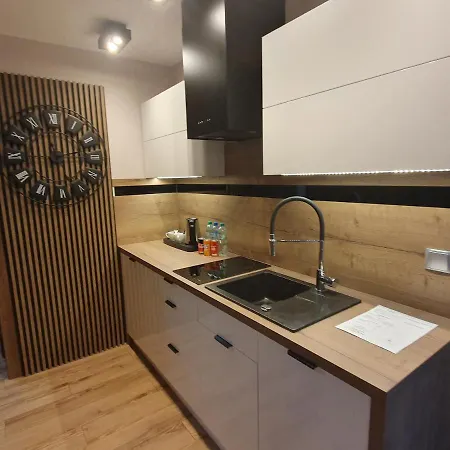 Baltic Plaza Przy Plazy Apartment Krynica Morska Exterior photo