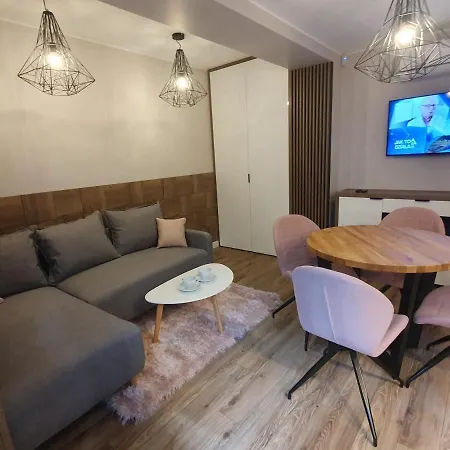 Baltic Plaza Przy Plazy Apartment Krynica Morska Exterior photo